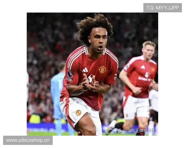 失落的天才齐尔克泽24岁加盟曼联却无首发机会前途堪忧