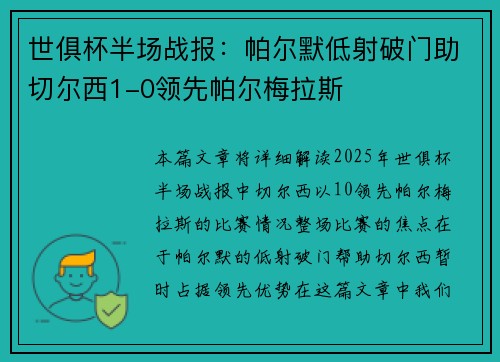 世俱杯半场战报：帕尔默低射破门助切尔西1-0领先帕尔梅拉斯